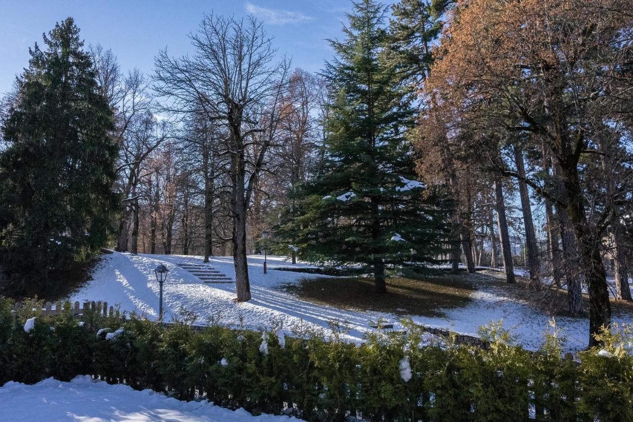 Hotel San Valier Cavalese Dış mekan fotoğraf