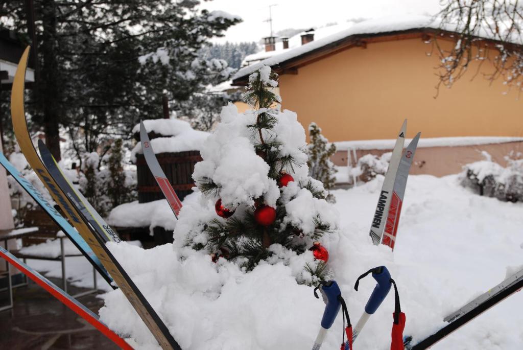 Hotel San Valier Cavalese Dış mekan fotoğraf